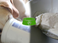Est-ce que les chiens peuvent manger du yaourt ?